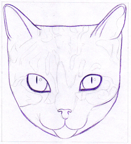 Cat Simple Drawing Pictures