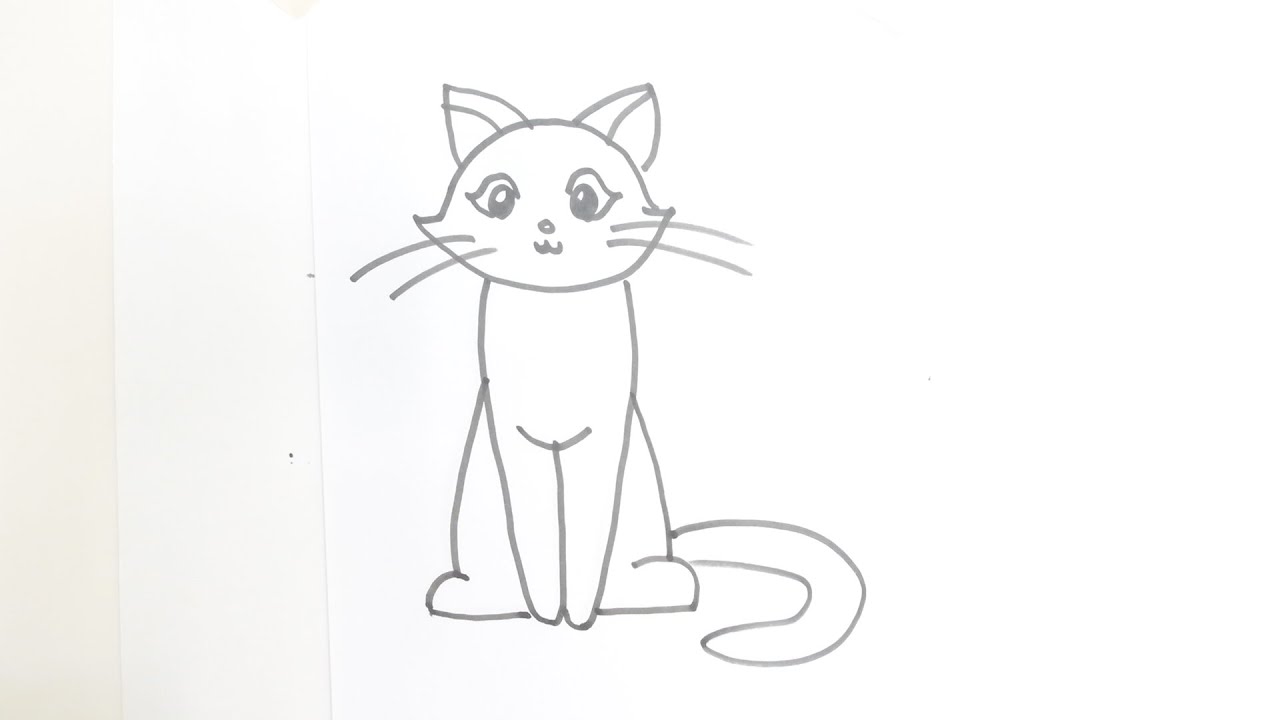 Cat Sitting Best Drawing