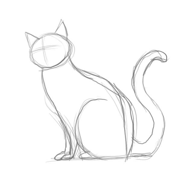 Cat Sitting Drawing Amazing