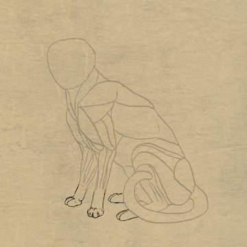 Cat Sitting Drawing Image