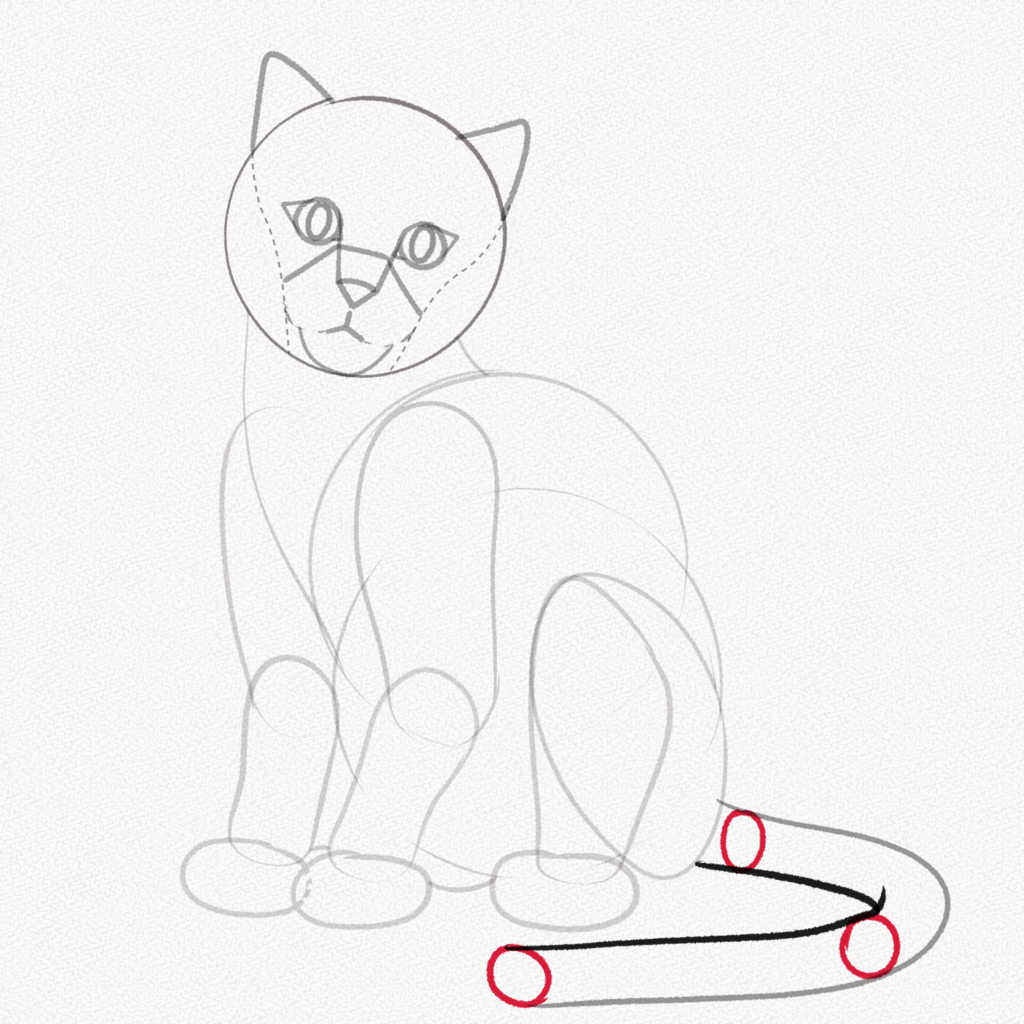 Cat Sitting Drawing Pics