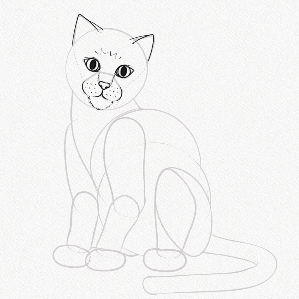 Cat Sitting Drawing Picture