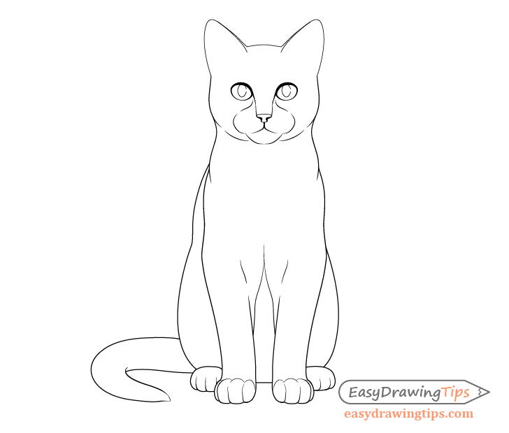 Cat Sitting Drawing Pictures