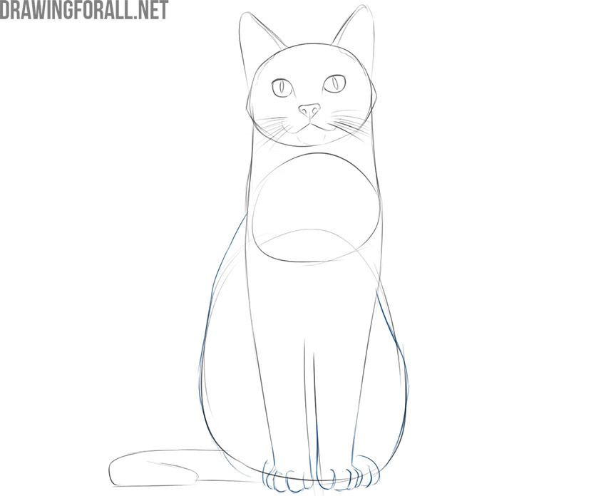 Cat Sitting Drawing