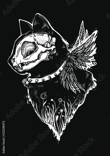 Cat Skull Drawing Amazing