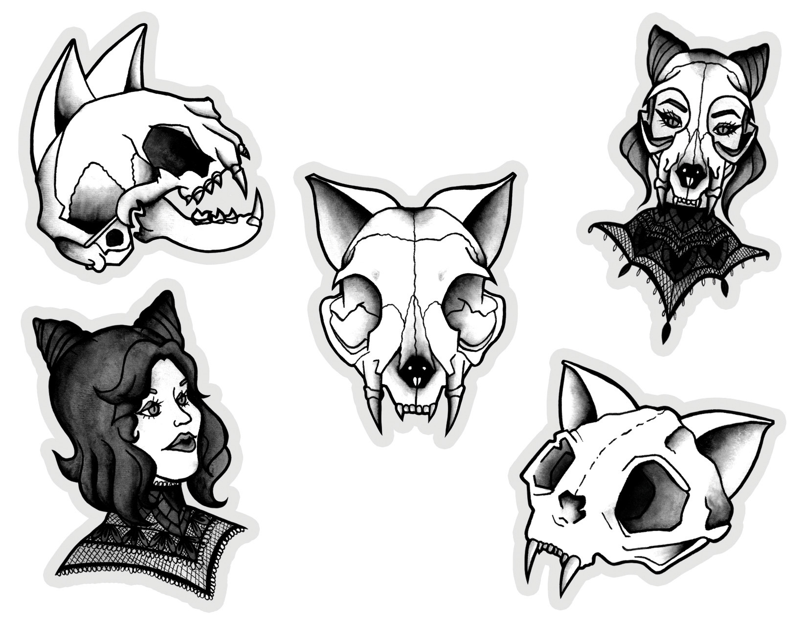 Cat Skull Drawing High-Quality