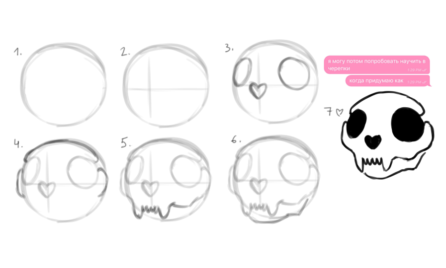 Cat Skull Drawing Pics