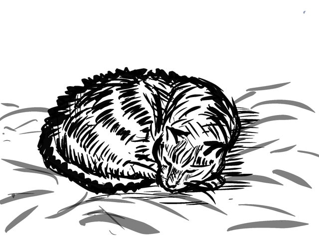 Cat Sleeping Art Drawing