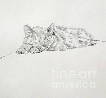 Cat Sleeping Drawing Beautiful Image