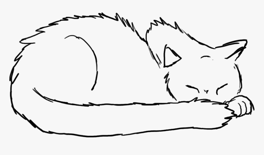 Cat Sleeping Drawing High-Quality