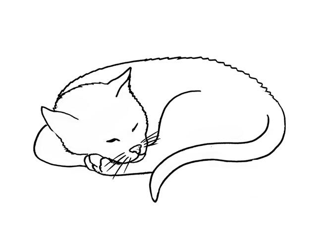 Cat Sleeping Drawing Picture