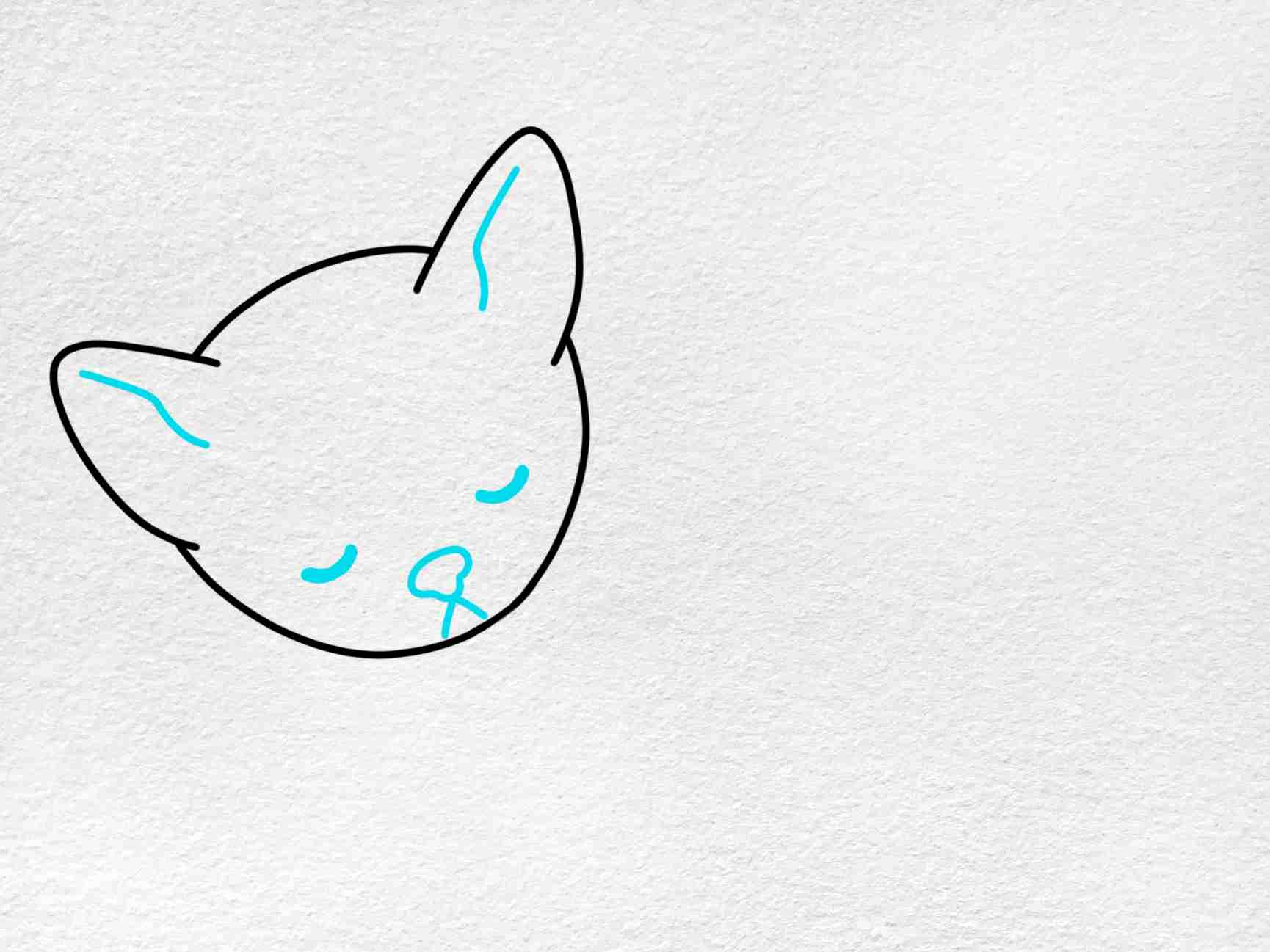 Cat Sleeping Drawing Pictures