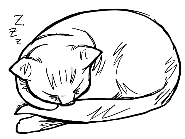 Cat Sleeping Drawing Realistic