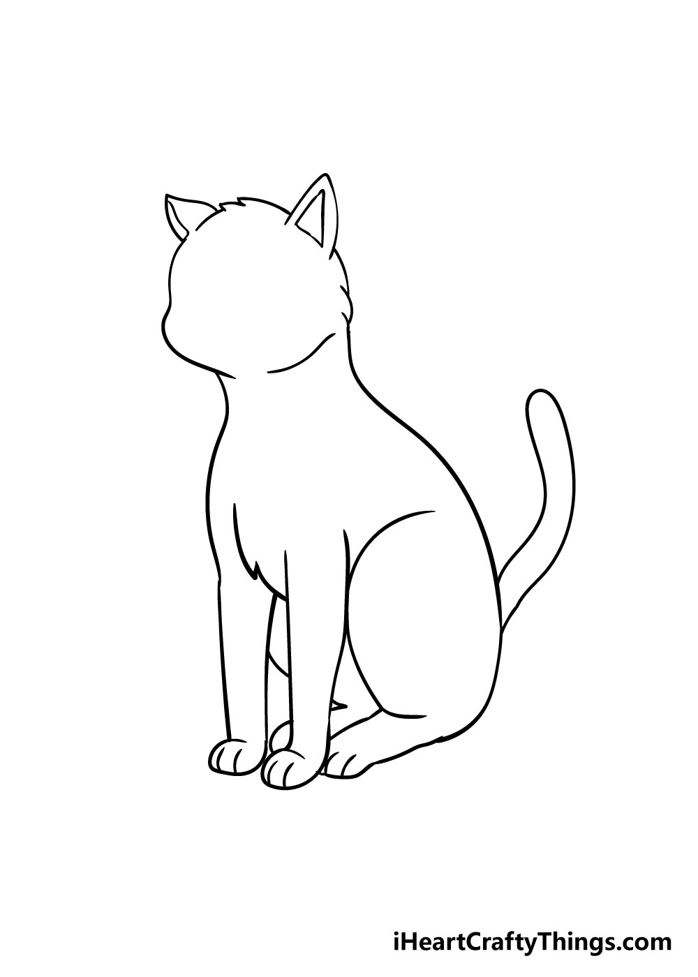Cat Tail Drawing Photo