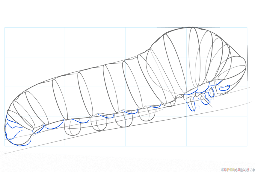 Caterpillar Drawing Pic
