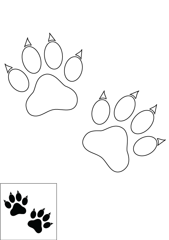 Cat’s Paw Drawing Pic
