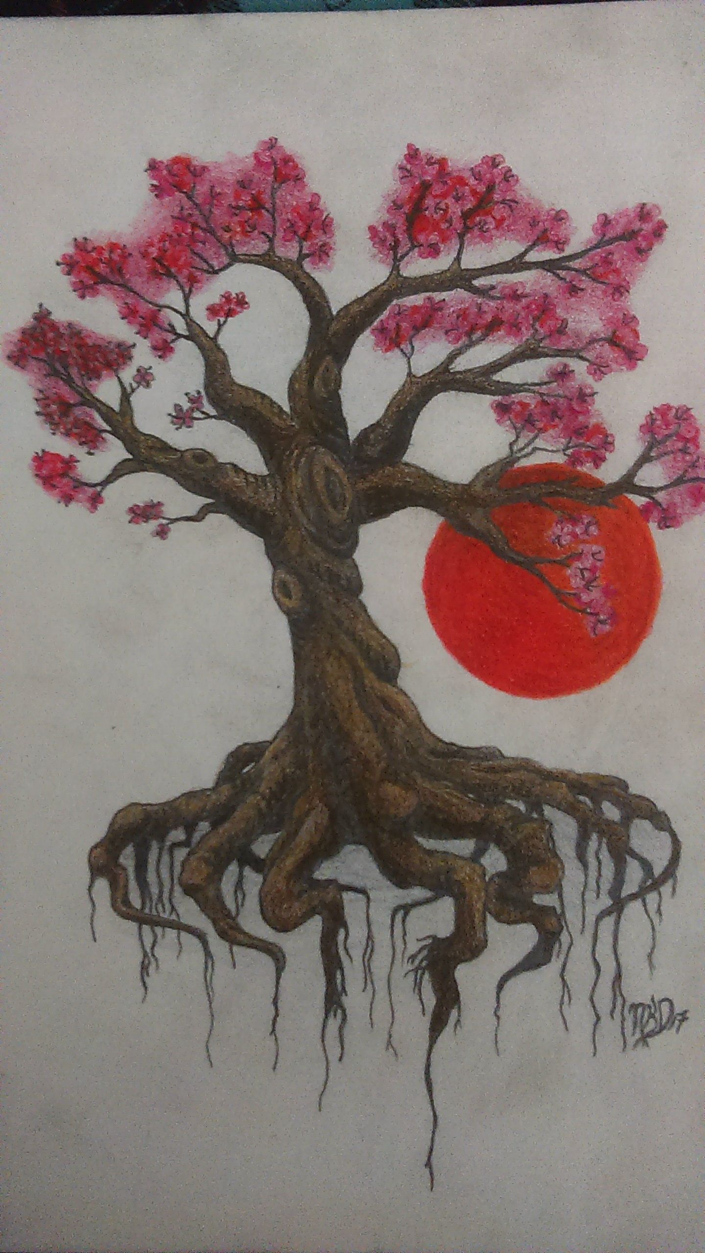 Cherry Blossom Tree Drawing Art