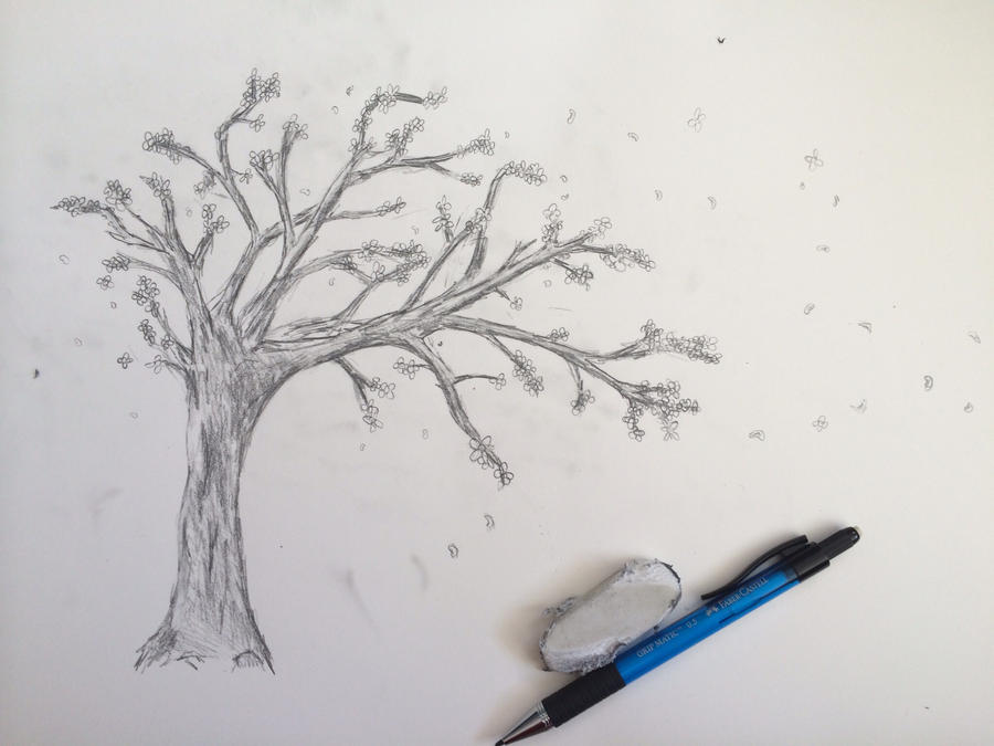 Cherry Blossom Tree Drawing Beautiful Art