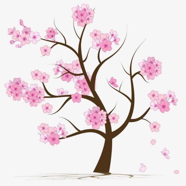 Cherry Blossom Tree Drawing Beautiful Image