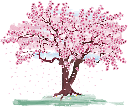Cherry Blossom Tree Drawing High-Quality