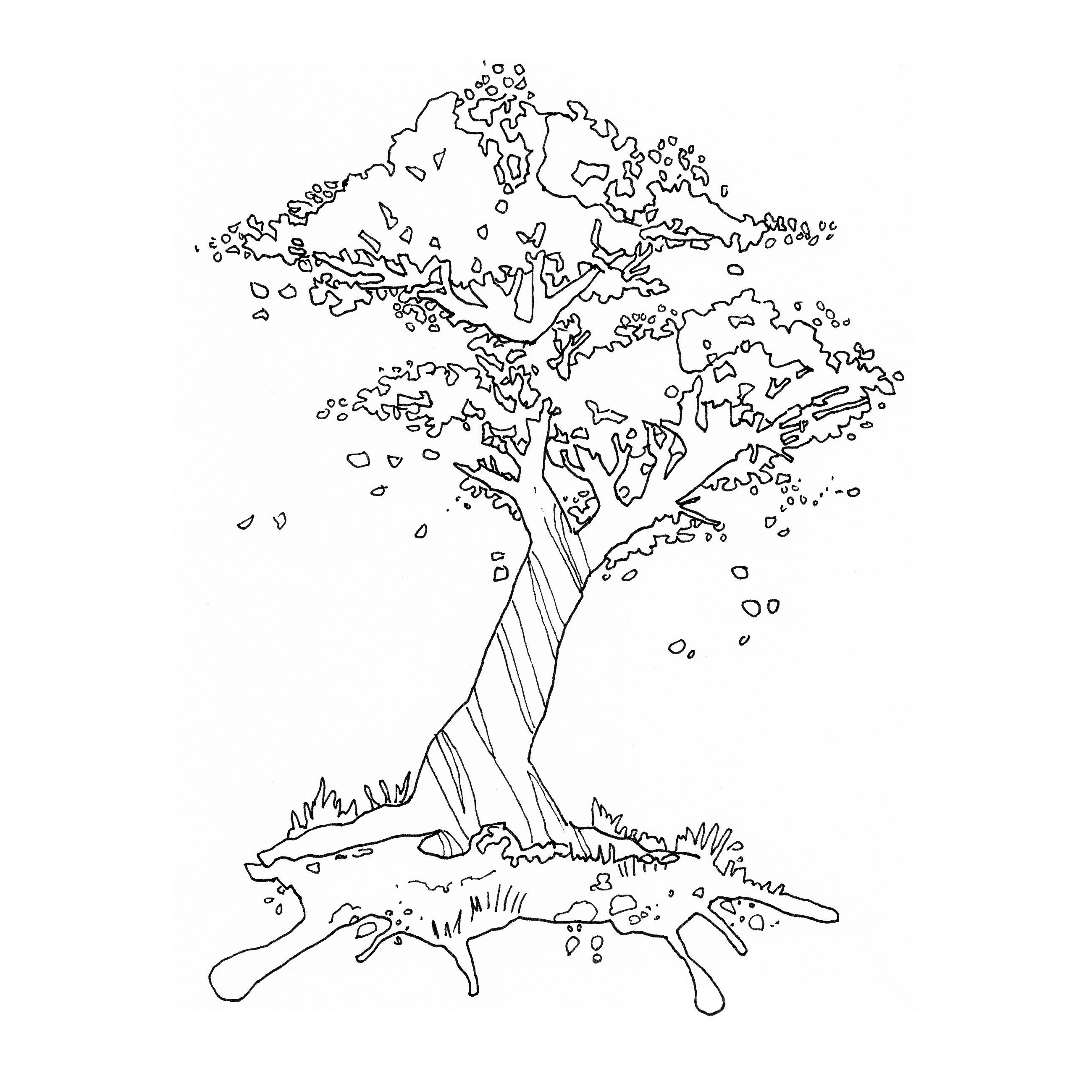 Cherry Blossom Tree Drawing Images