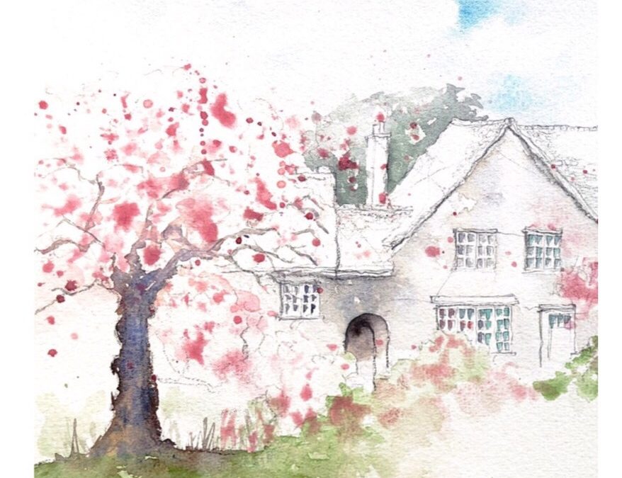 Cherry Blossom Tree Drawing Photo