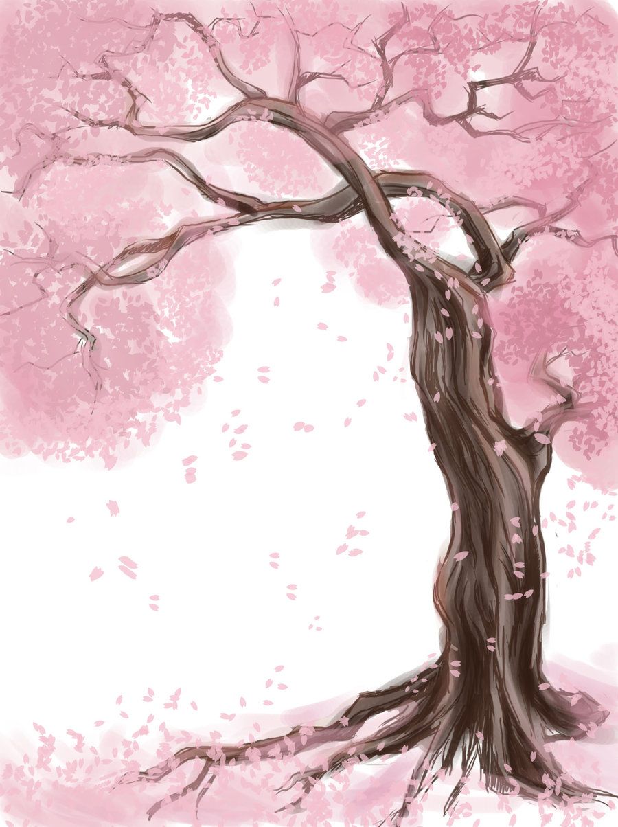 Cherry Blossom Tree Drawing Pic