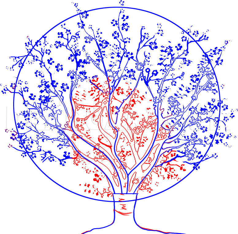 Cherry Blossom Tree Drawing Pics