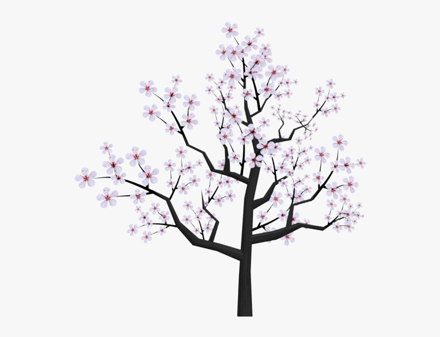 Cherry Blossom Tree Drawing Picture