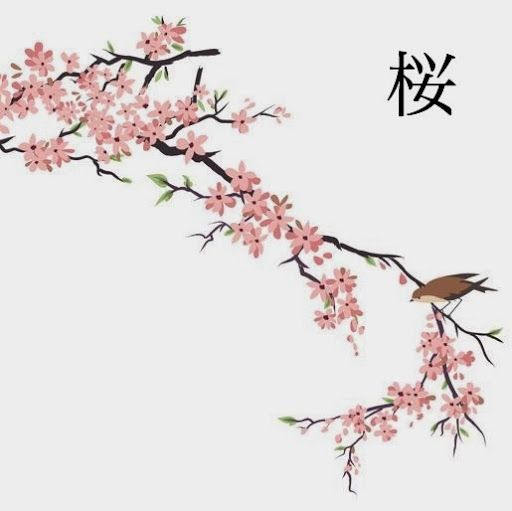 Cherry Blossom Tree Drawing