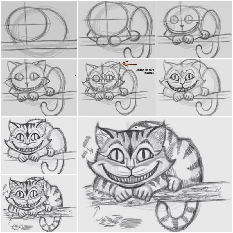Cheshire Cat Art Drawing