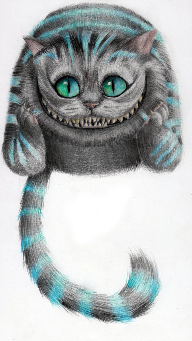 Cheshire Cat Drawing