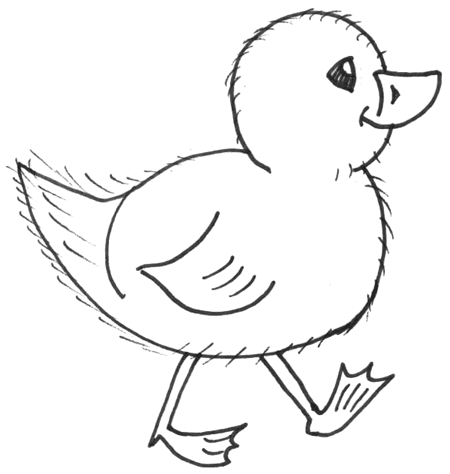 Chick Drawing Pics