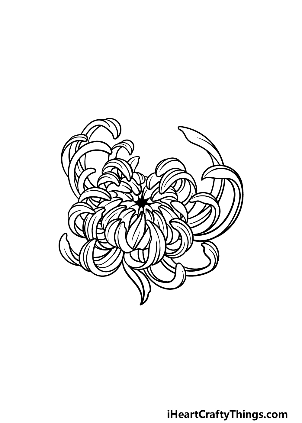 Chrysanthemums Drawing Art