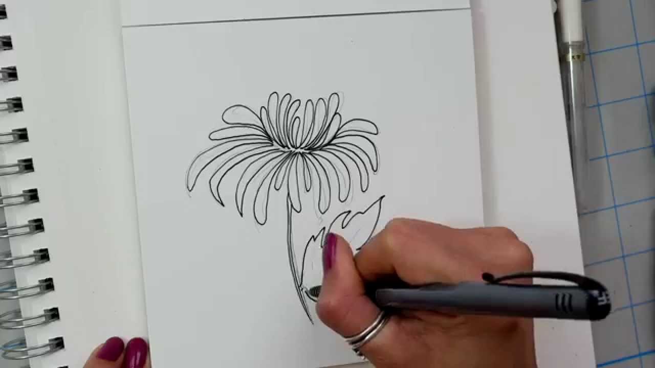 Chrysanthemums Drawing Picture