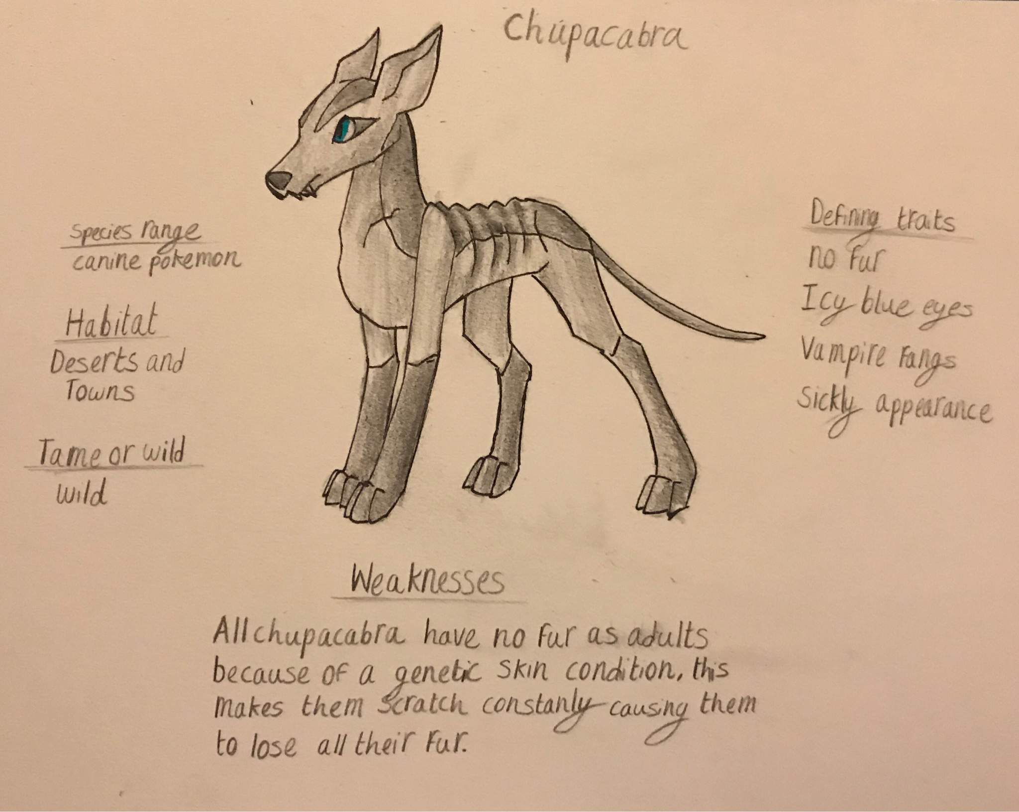 Chupacabra Drawing Image