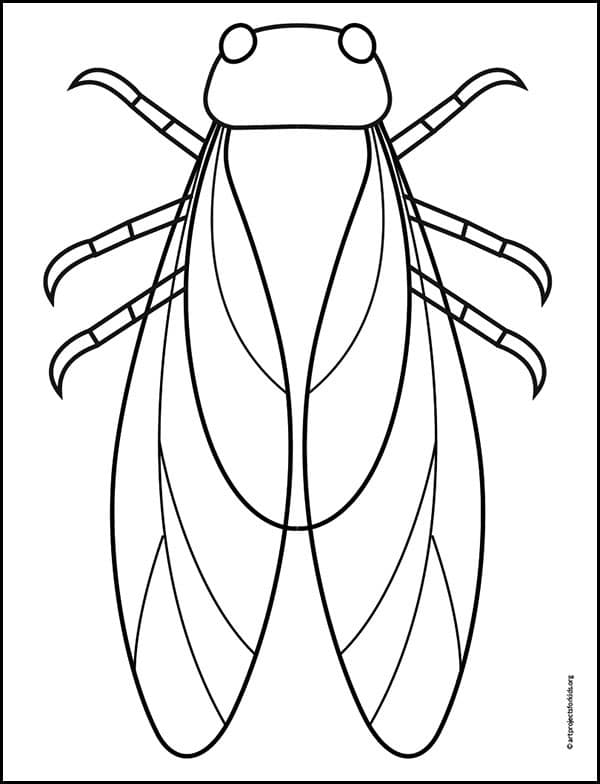 Cicada Drawing Pic