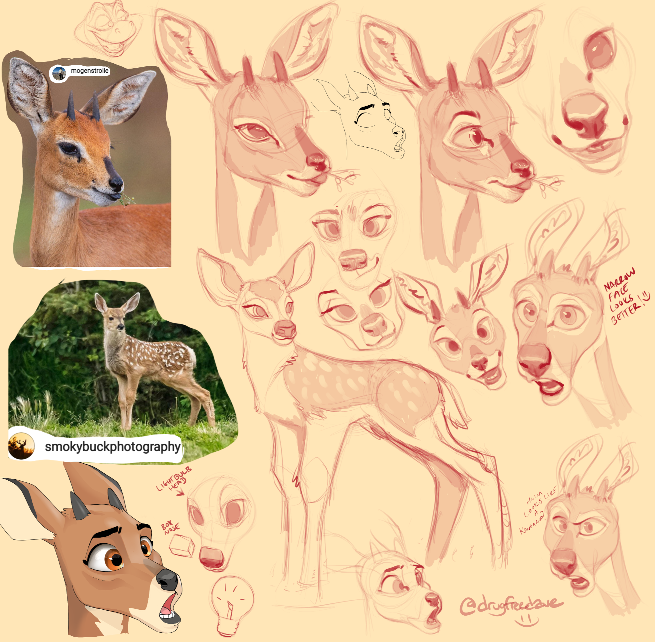 Deer Nose Drawing Image