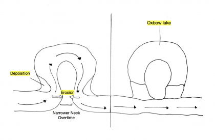 Deposition Drawing Pic - Drawing Skill