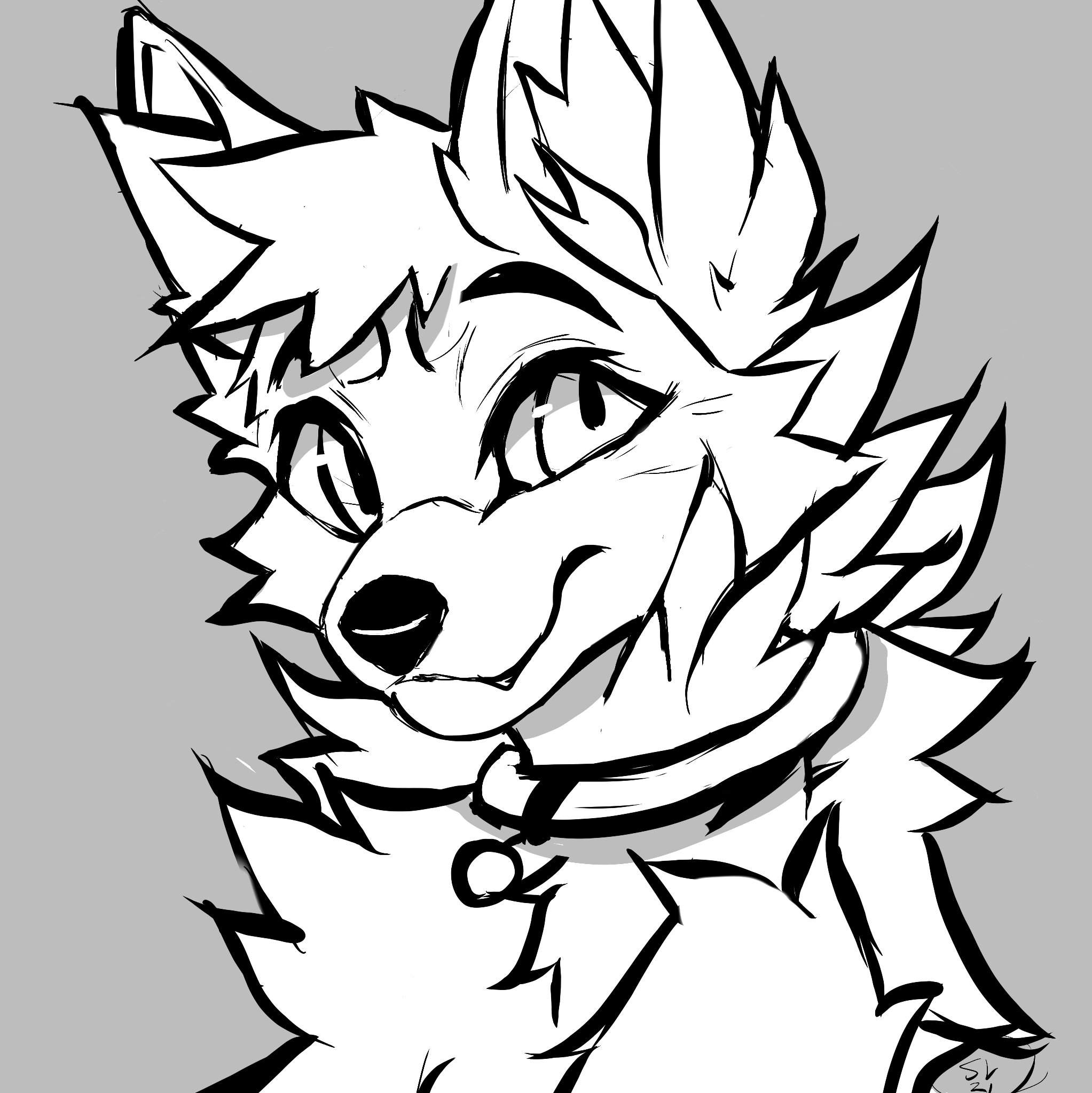 Furry Drawing Photos Drawing Skill