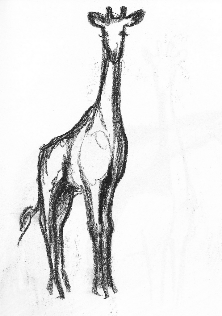 Abstract Giraffe Drawing Pics