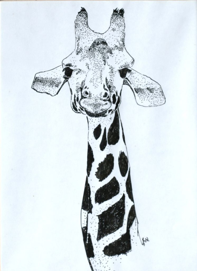 Abstract Giraffe Drawing Picture