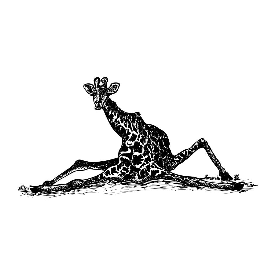 Abstract Giraffe Drawing Realistic