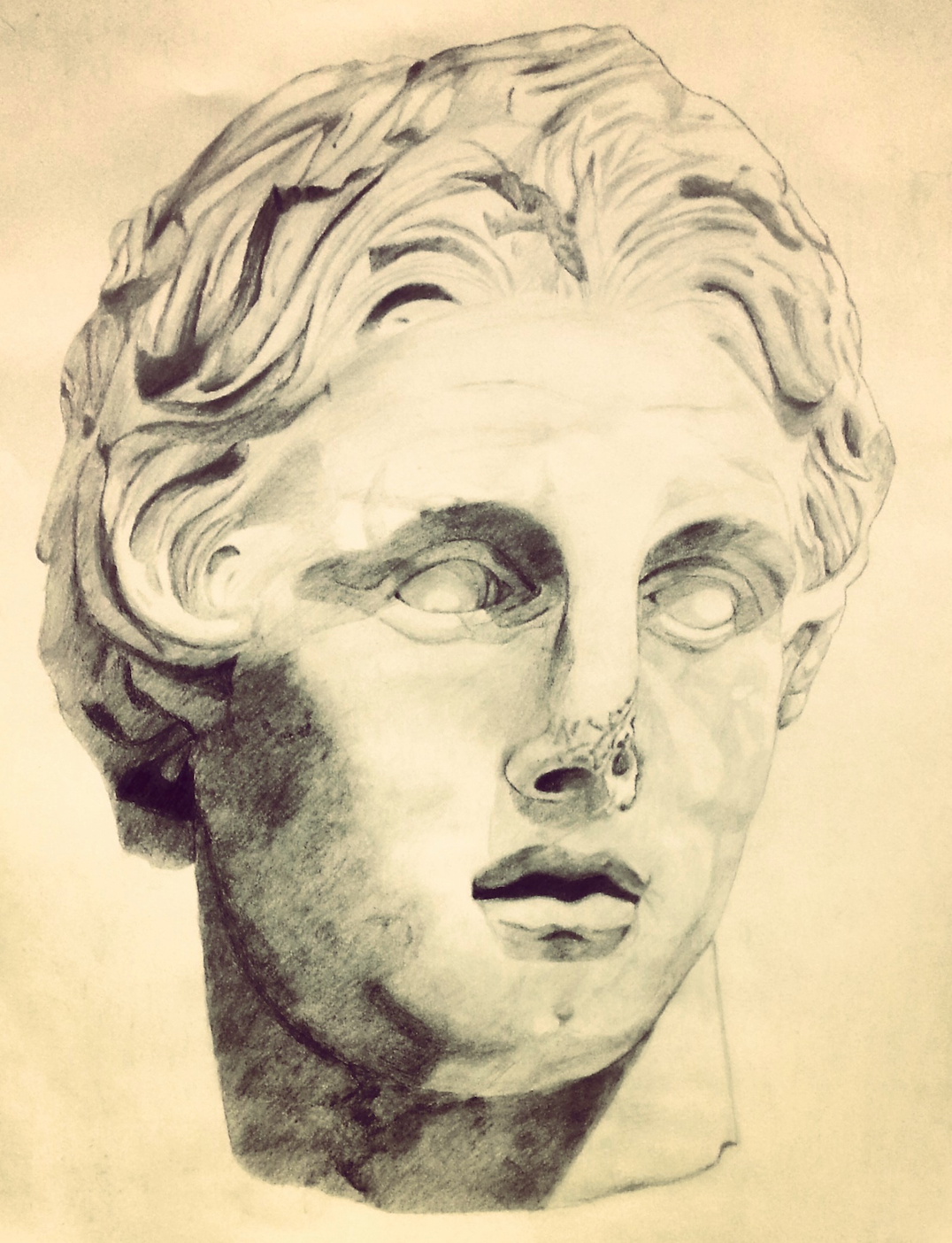 Alexander The Great Drawing