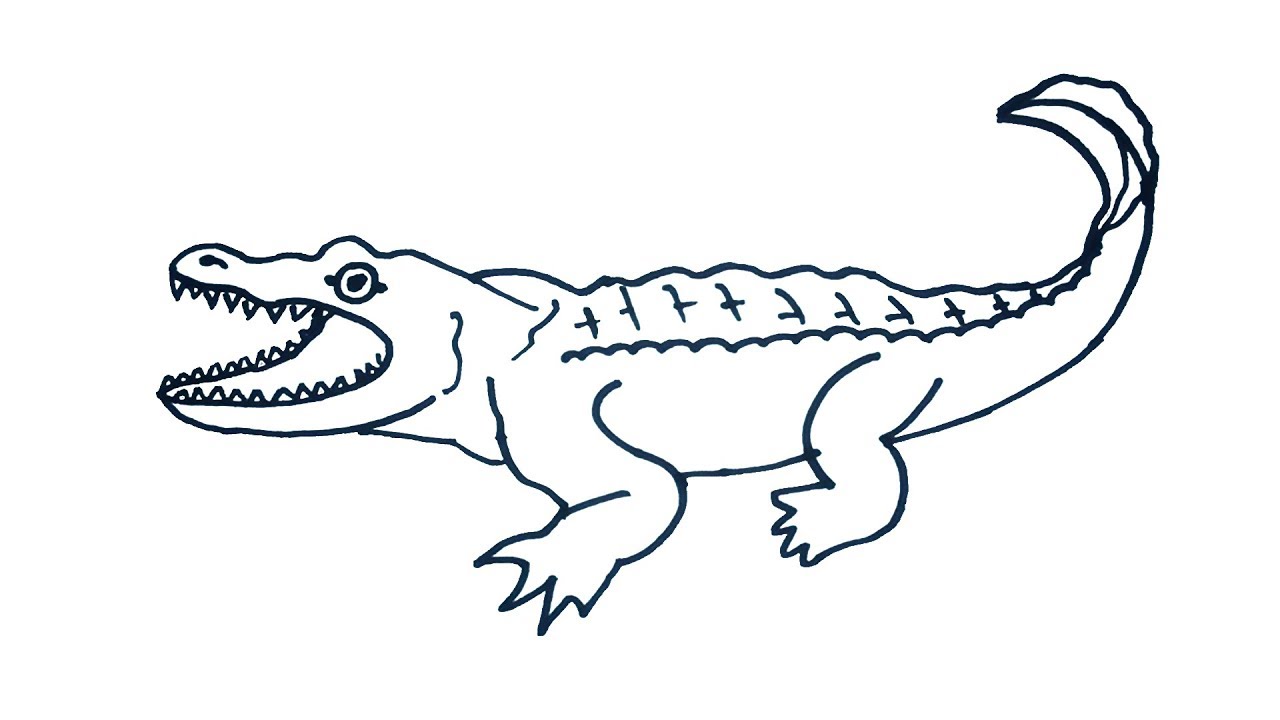 Alligator Art Drawing