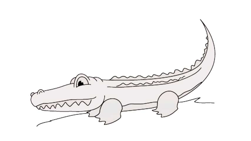 Alligator Drawing Amazing