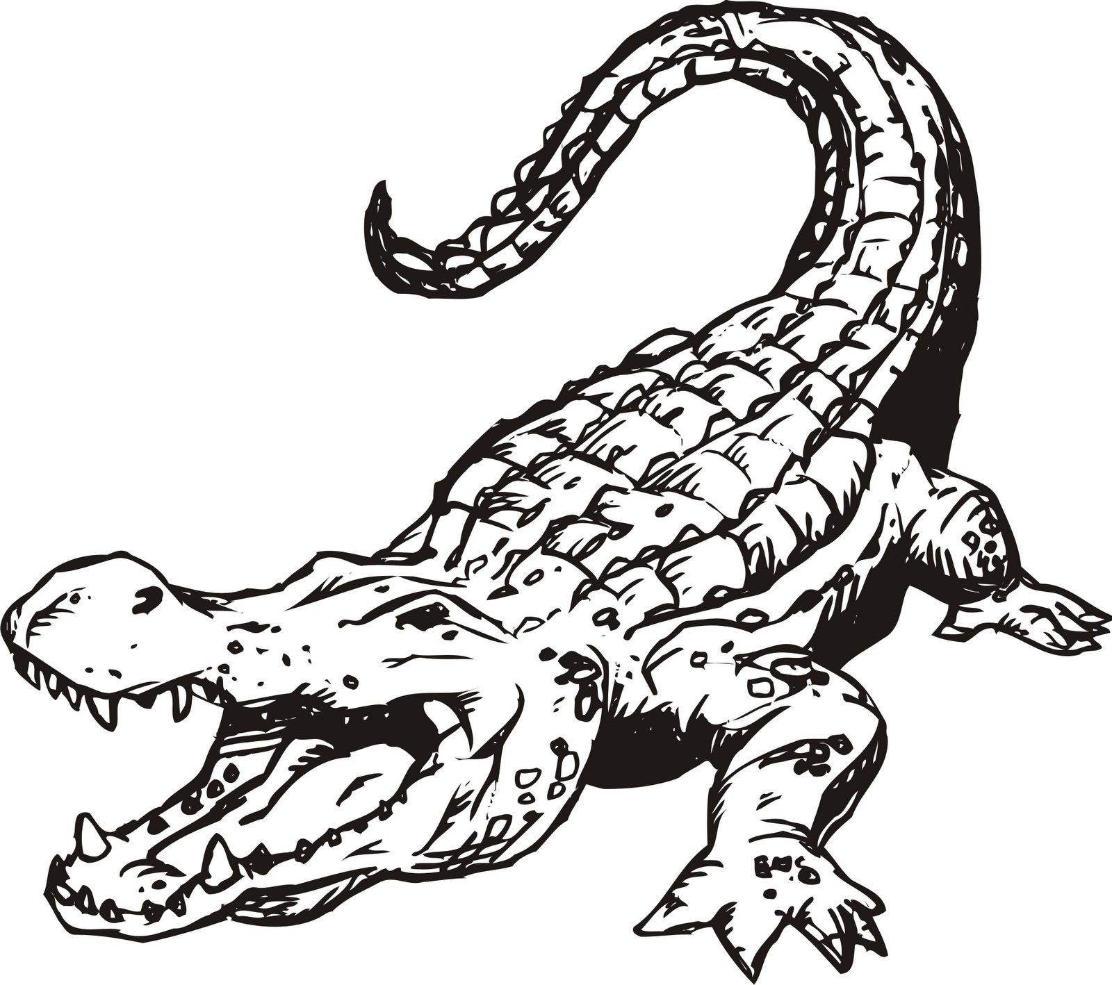 Alligator Sketch Vector Images (over 990)