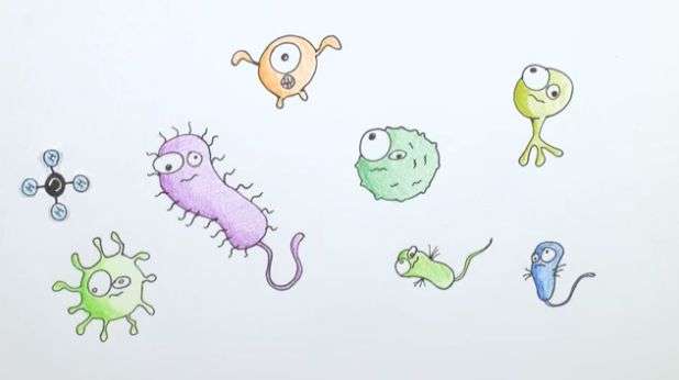 Bacteria Drawing Pics