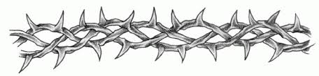 Barb Wire Best Drawing