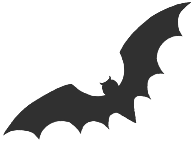 Bat Amazing Drawing